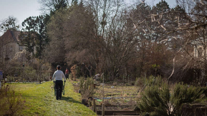 Arbeitseinsatz im Nachbarschaftsgarten Hetzendorf März 2026